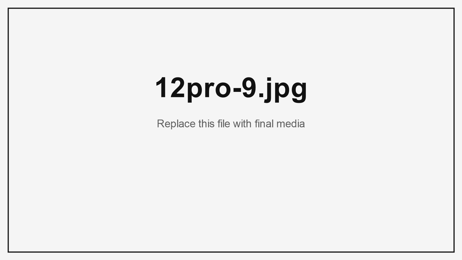 12 ft product image 4